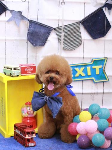 20230418ピノくん